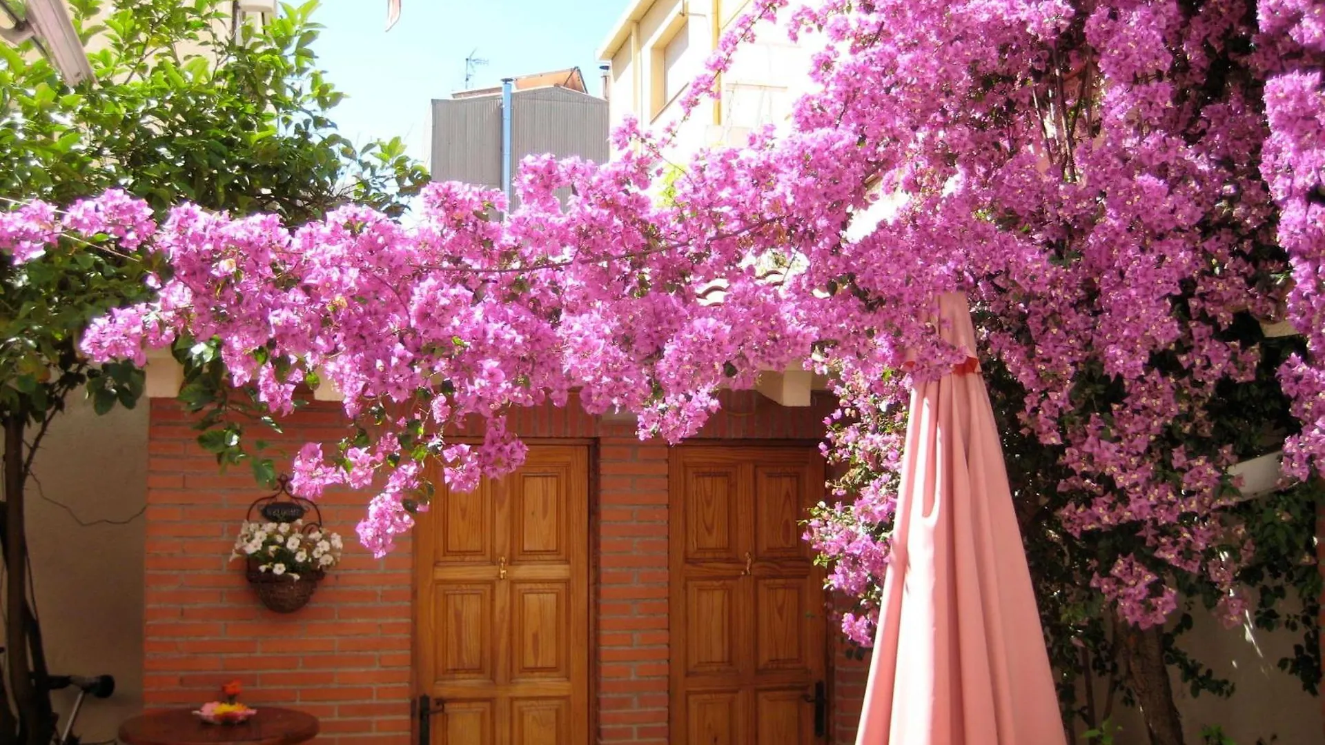 Pension Casa Austria Hotel Calella Spain